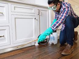 Best Pest Prevention Services  in Blountsville, AL