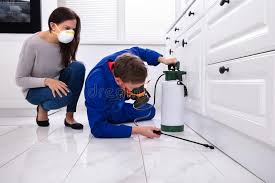 Best Fumigation Services  in Blountsville, AL